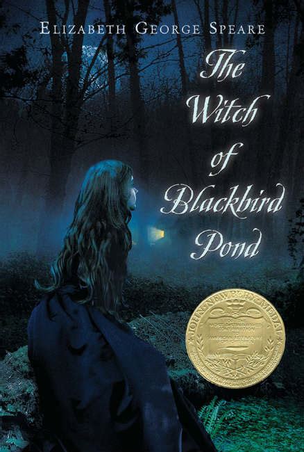 Experience the allure of The Witch of Blackbird Pond through audio storytelling